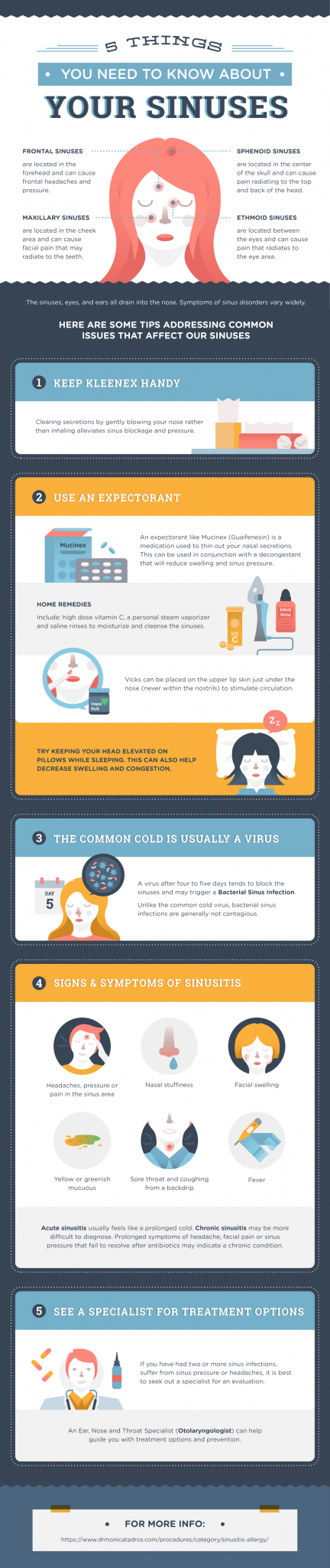 5-things-you-need-to-know-about-your-sinuses-infographics