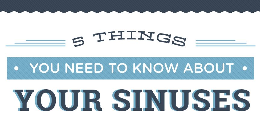 things-you-need-to-know-about-your-sinuses-thumb